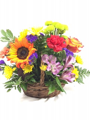 Country Basket from Brownfield Floral in Brownfield, TX